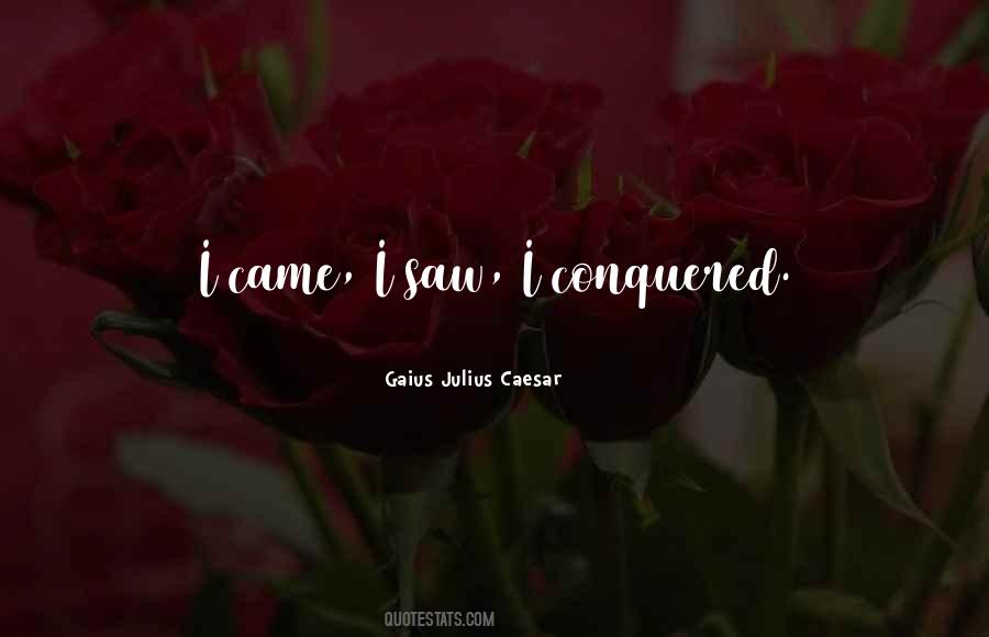 I Came I Saw Quotes #253684