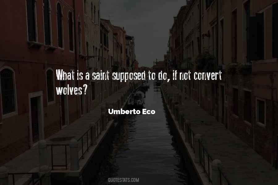 Man Is Wolf To Man Quotes #1500964