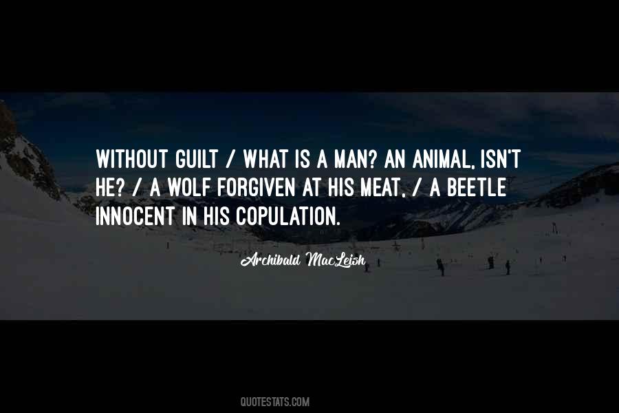 Man Is Wolf To Man Quotes #867026