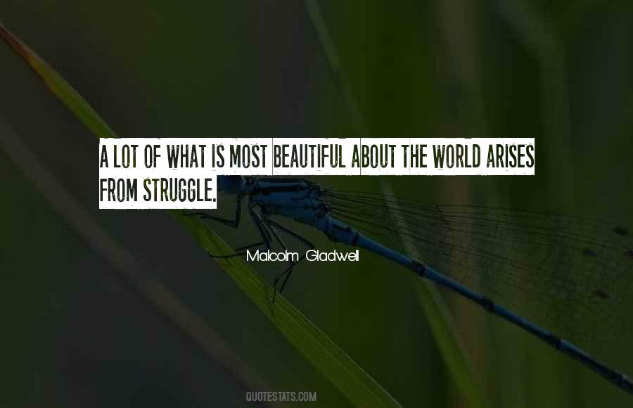 Beautiful Struggle Quotes #158020