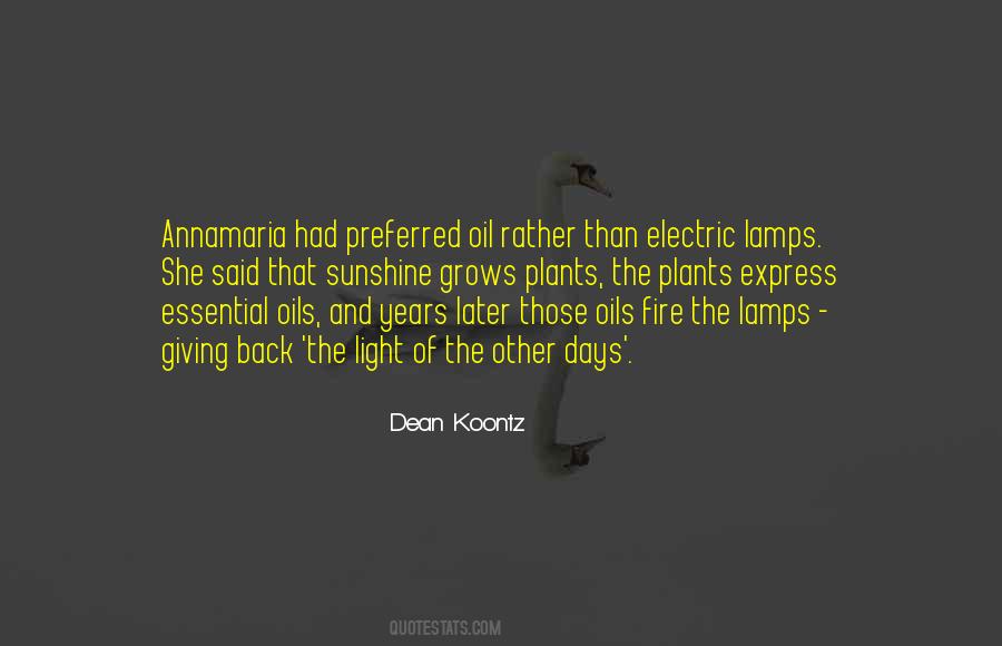 Quotes About Electric Light #362223