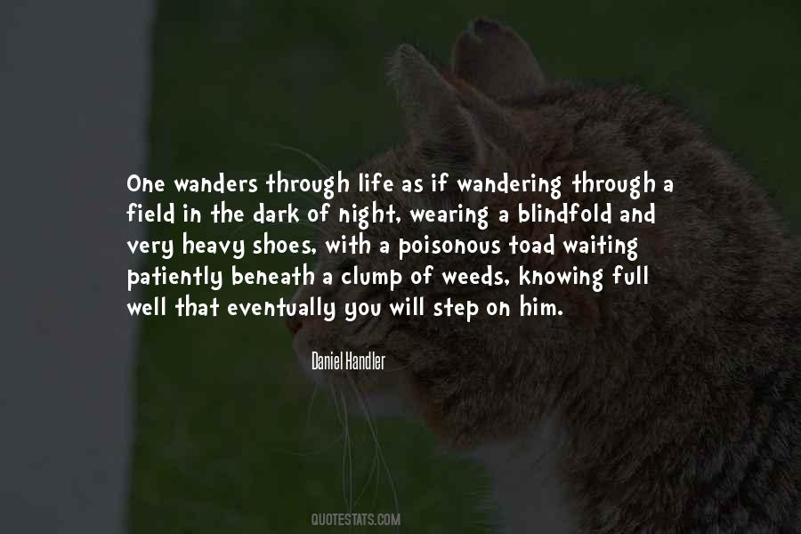 Wandering Life Quotes #1574974