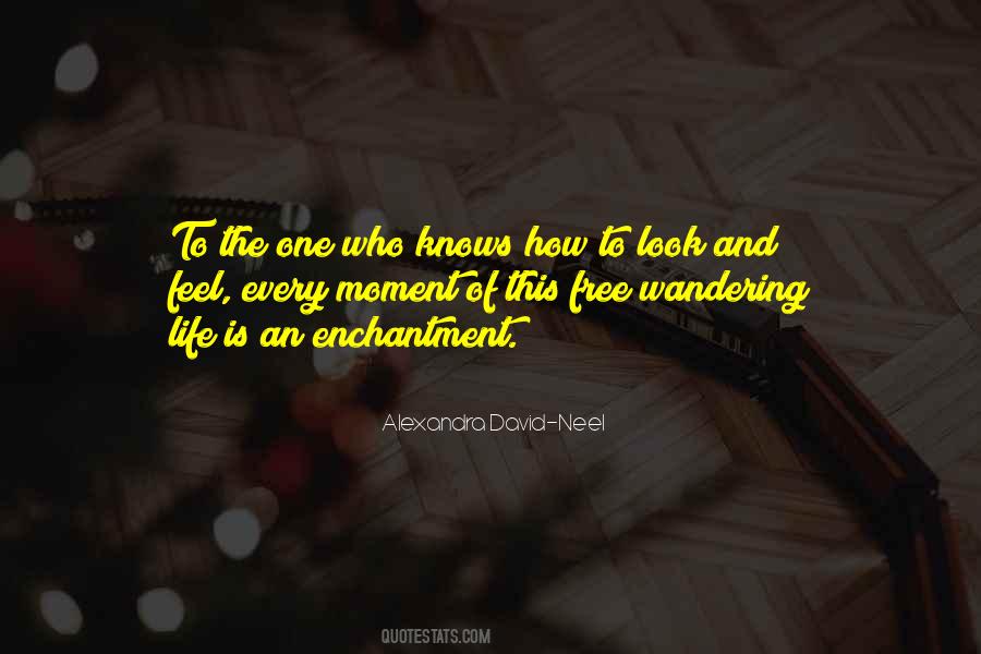 Wandering Life Quotes #1842819