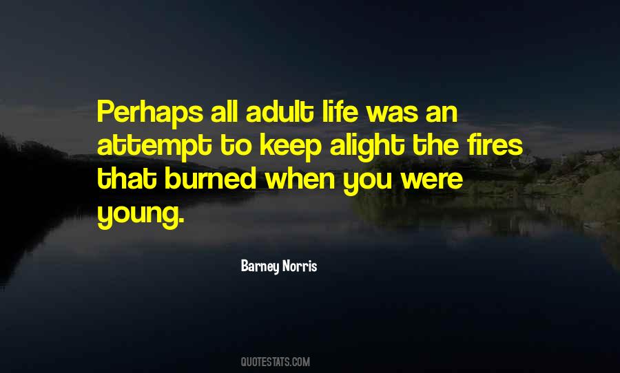 Quotes About When You Were Young #1544163