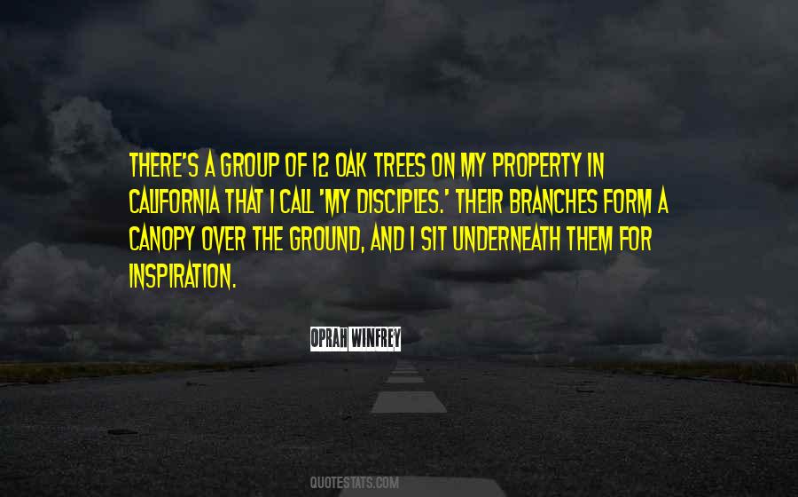 Quotes About Tree Canopy #1030810