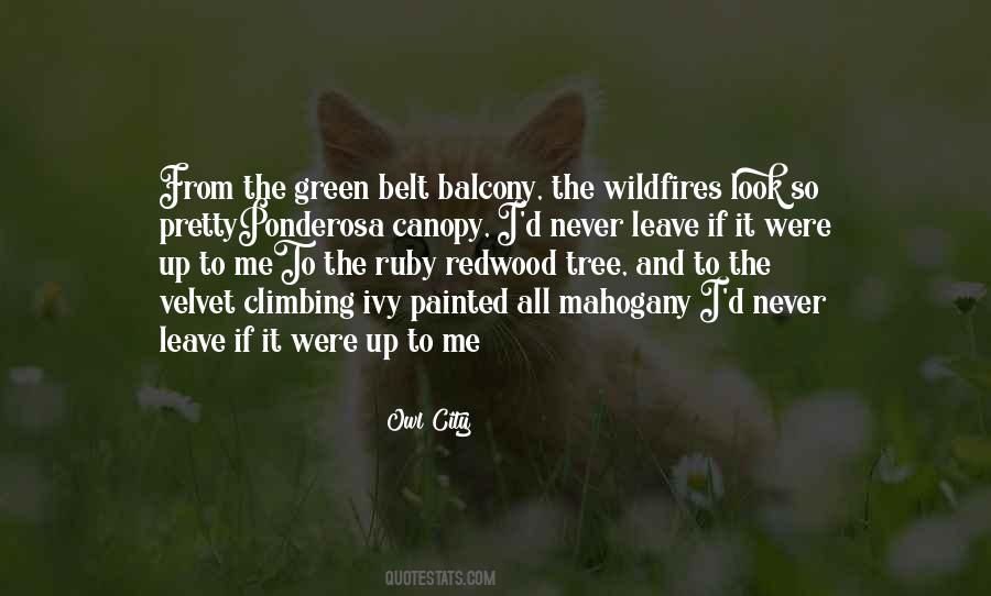 Quotes About Tree Canopy #1318397