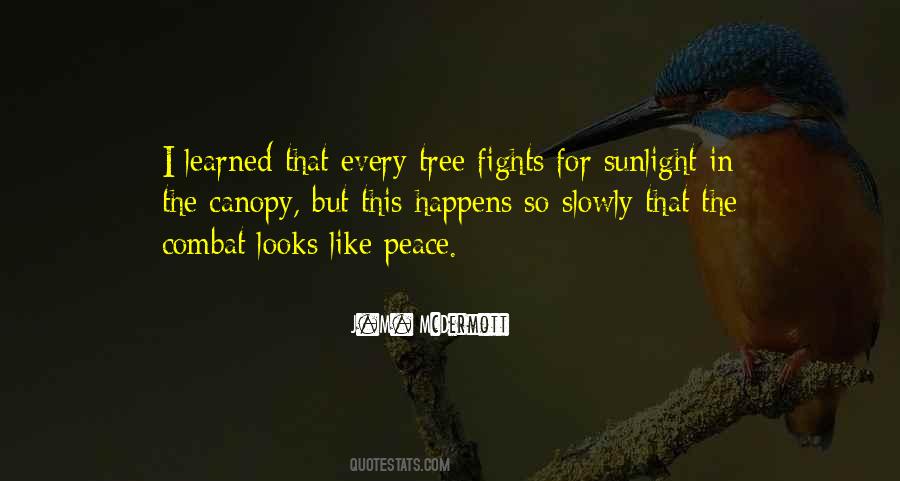 Quotes About Tree Canopy #736732