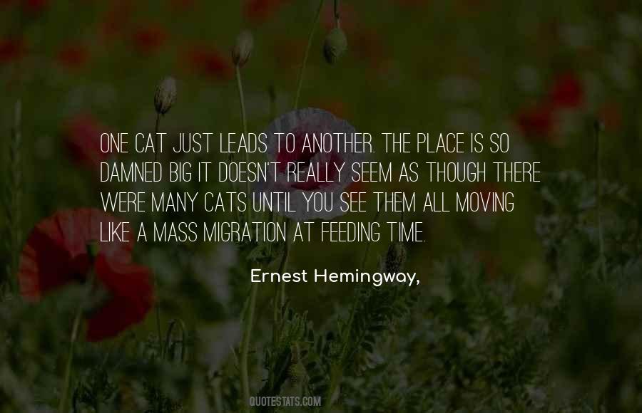 Big Cats Quotes #1326009