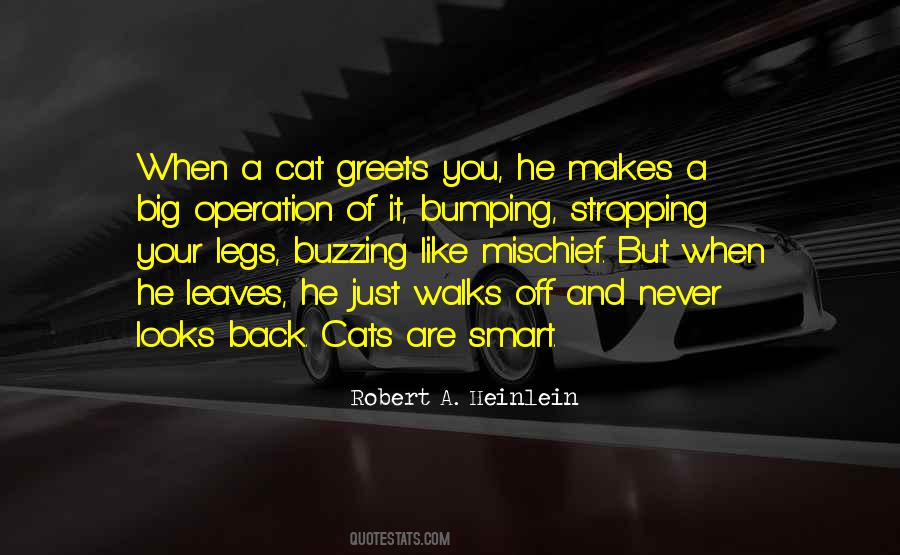 Big Cats Quotes #138350