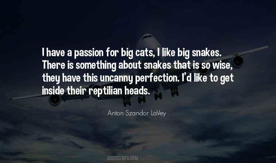 Big Cats Quotes #309027