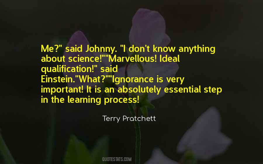 Quotes About Process Of Learning #180331