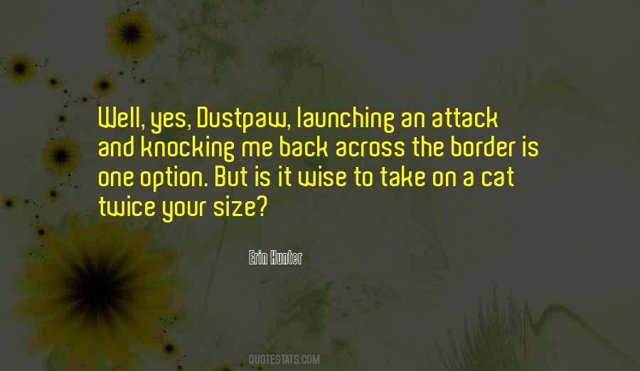Quotes About Launching #3589