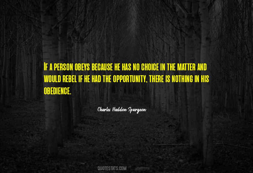 Opportunity The Quotes #10480