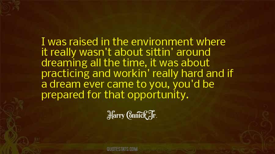 Opportunity The Quotes #11982