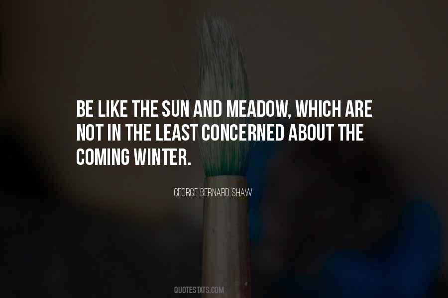 Quotes About Winter Sun #1002751