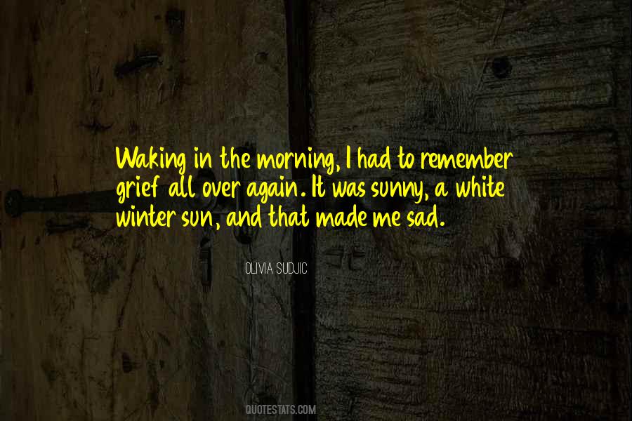 Quotes About Winter Sun #262556