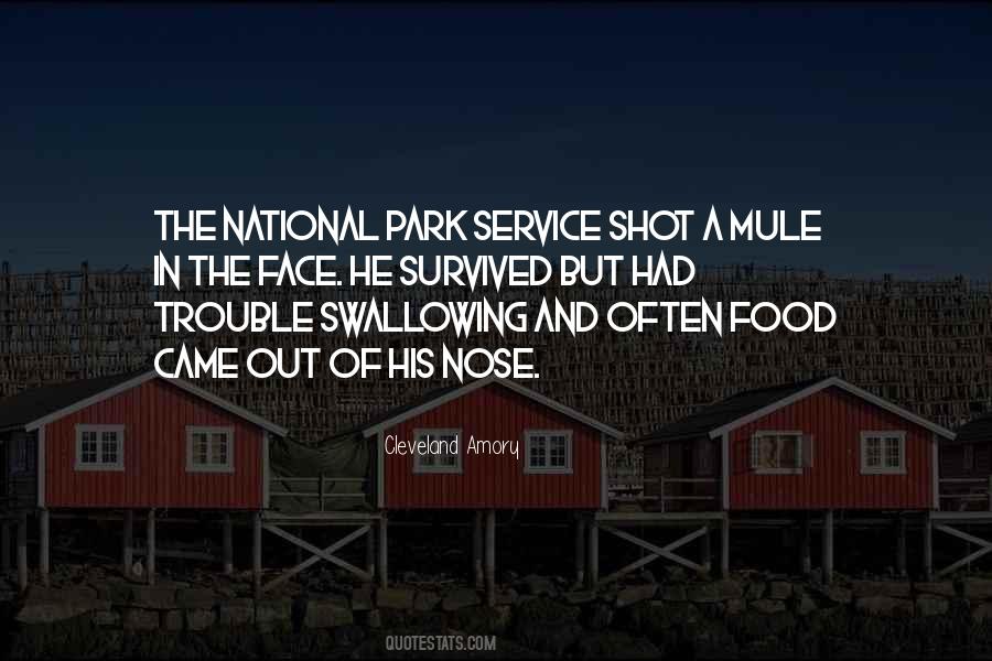 Quotes About National Service #629611