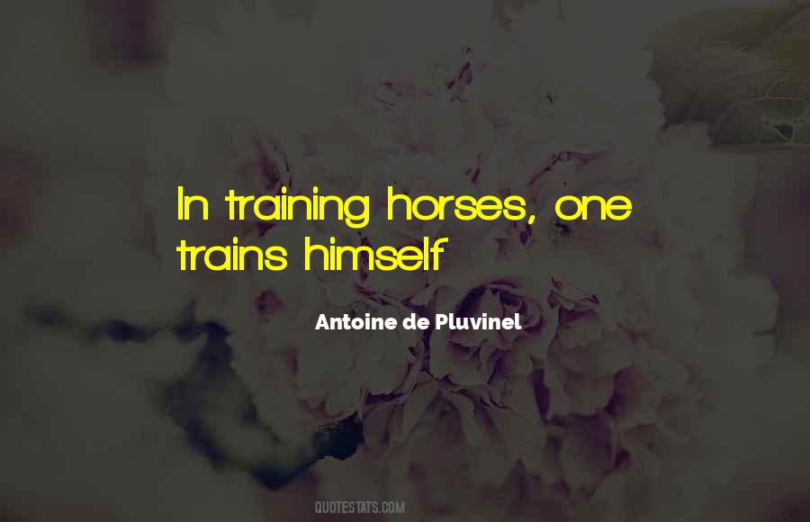 Quotes About Training Horses #418424