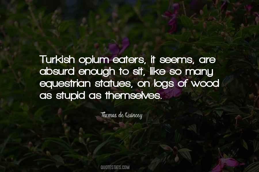 Quotes About Turkish #137310