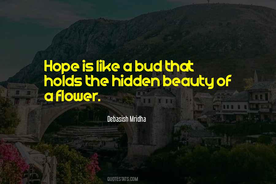 Quotes About Hidden Beauty #120695