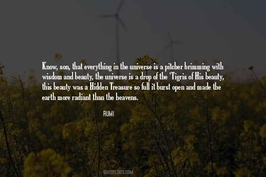 Quotes About Hidden Beauty #812512