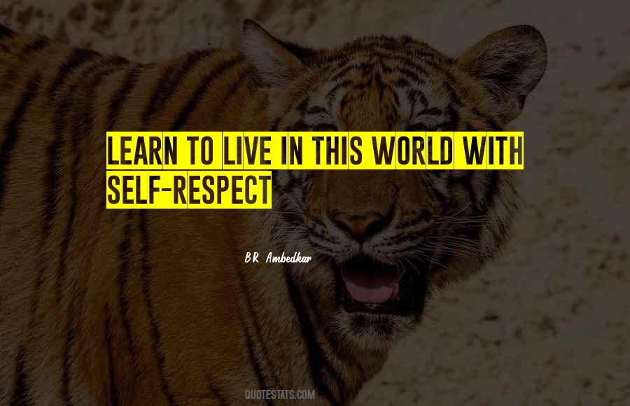 Quotes About Self Respect #1175699