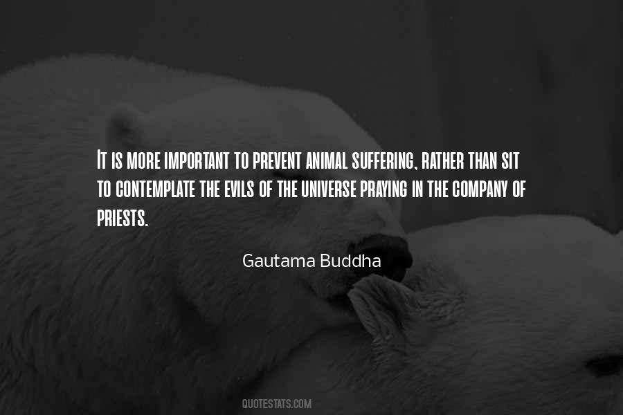Animal Suffering Quotes #188721