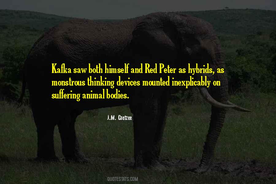 Animal Suffering Quotes #424826