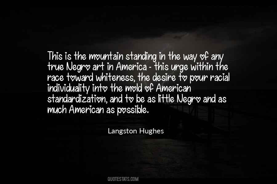 Race America Quotes #207248