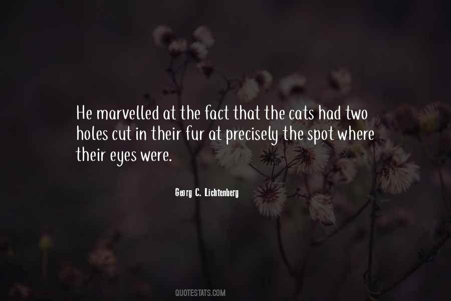 Quotes About Cat Eyes #1219306