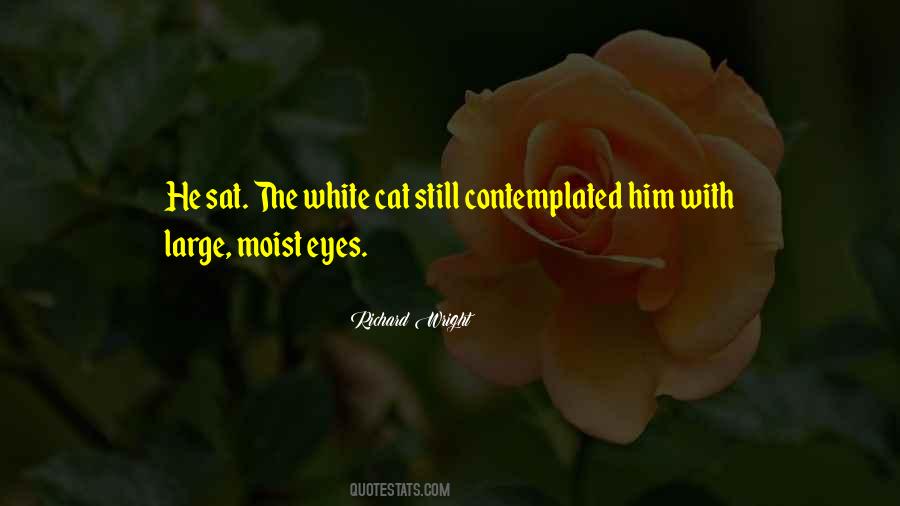 Quotes About Cat Eyes #1451909