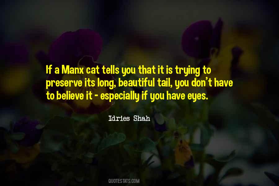 Quotes About Cat Eyes #387595