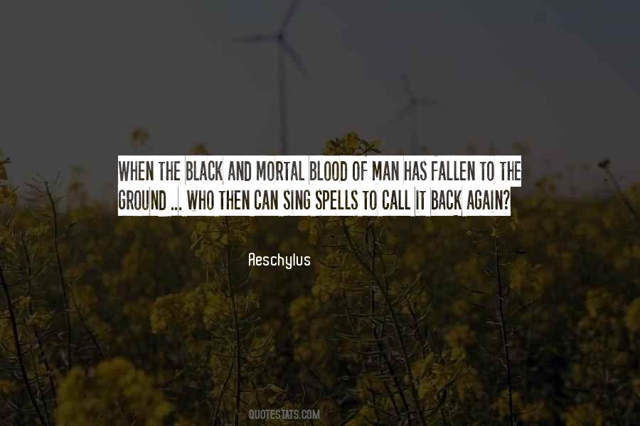 Fallen Man Quotes #257202