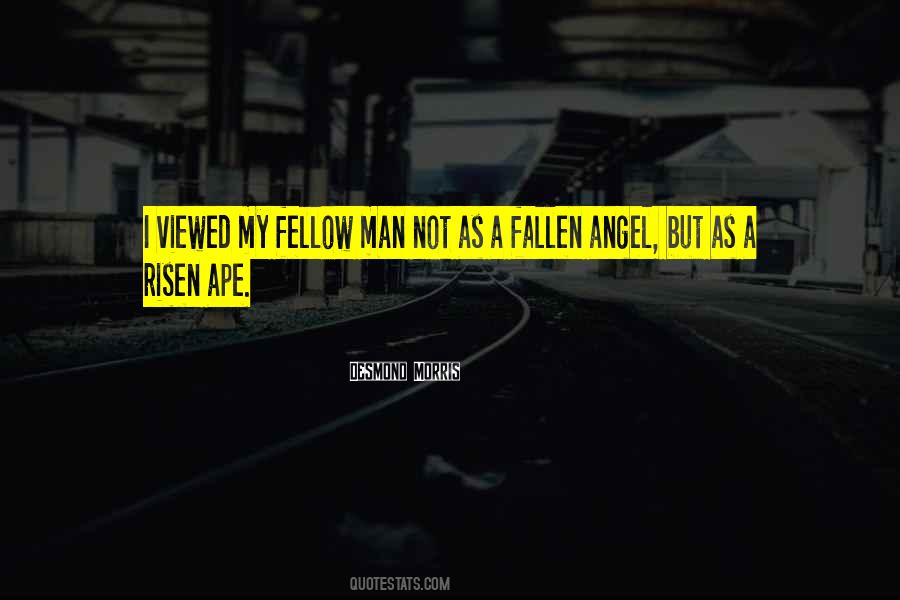 Fallen Man Quotes #97583