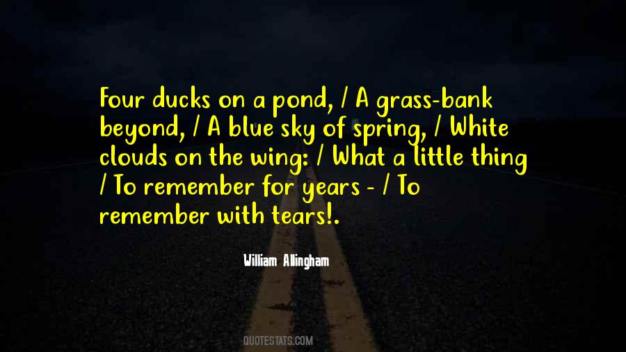Quotes About Ducks #356329