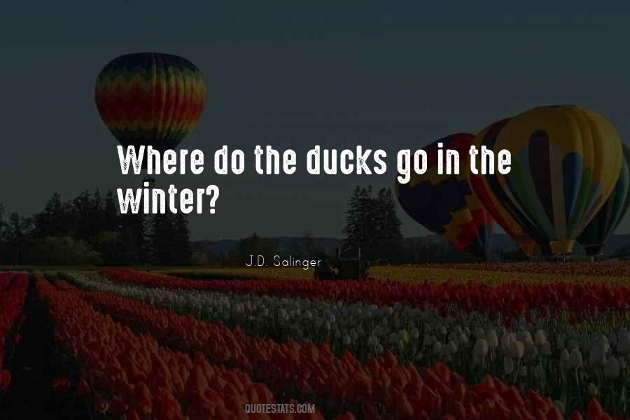 Quotes About Ducks #505396