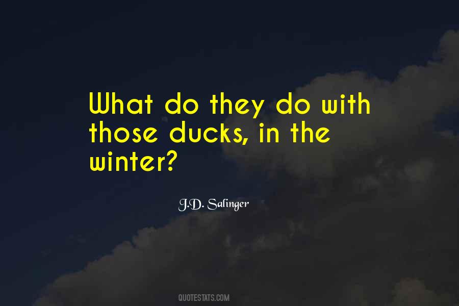 Quotes About Ducks #961129