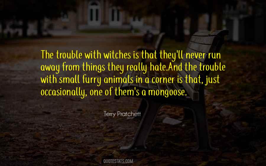 Quotes About Witches #1056859