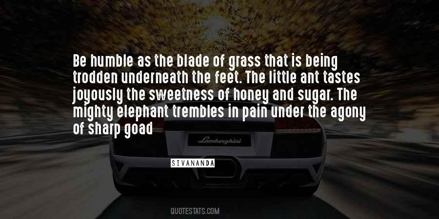 Quotes About Being Humble #1568321