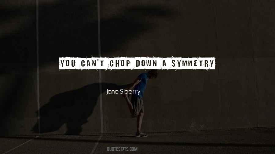 Quotes About Symmetry #424723