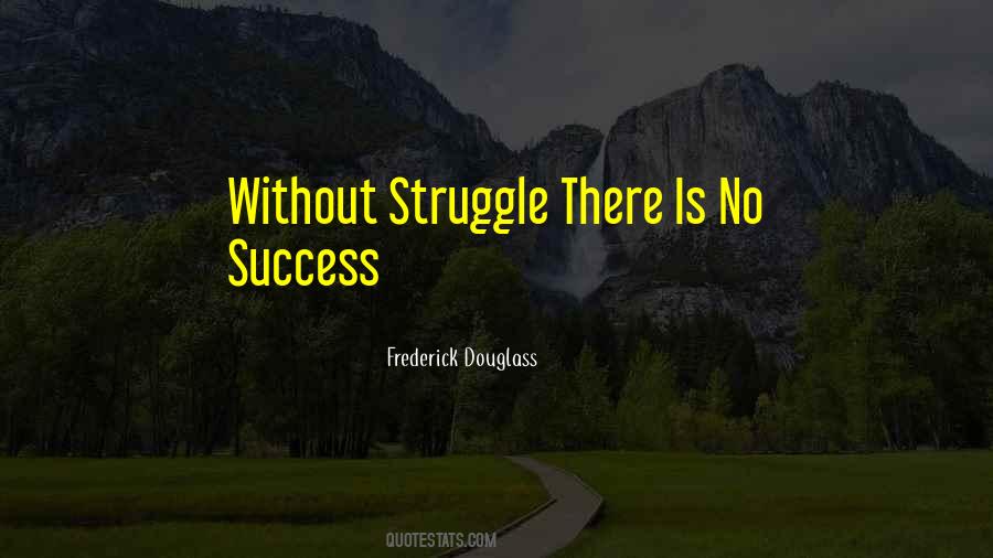 Quotes About Struggle For Success #527772