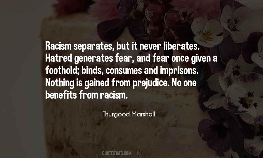 Quotes About Prejudice Racism #1866210