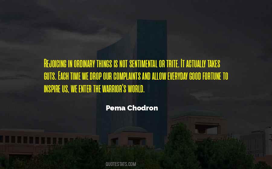 Good Warrior Quotes #1437933