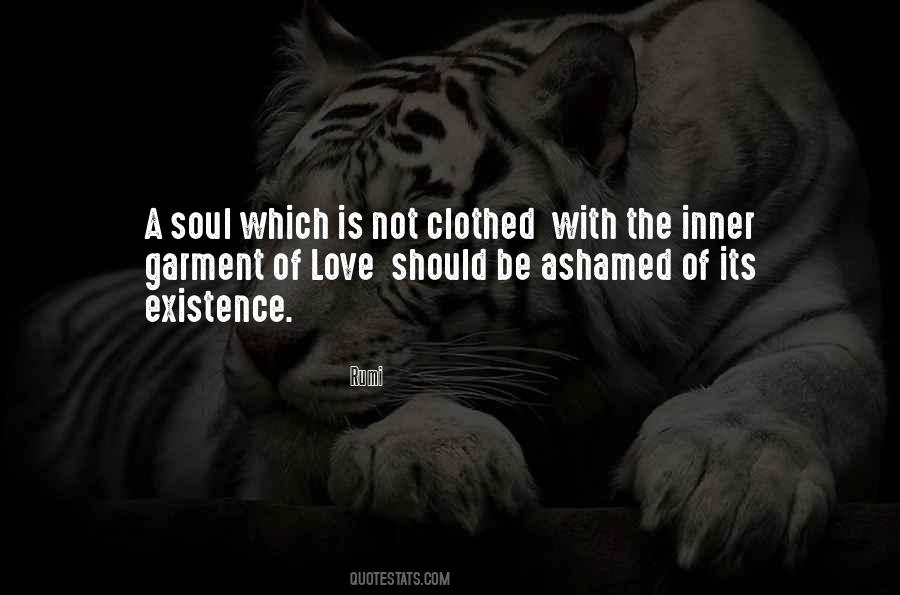 Quotes About Inner Soul #150112