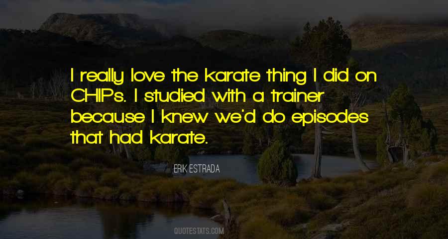 Quotes About Karate Kid #608505