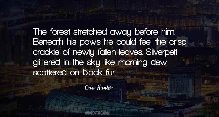 Black Forest Quotes #1213254