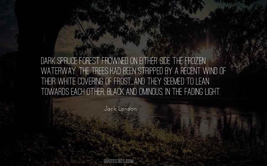 Black Forest Quotes #990612