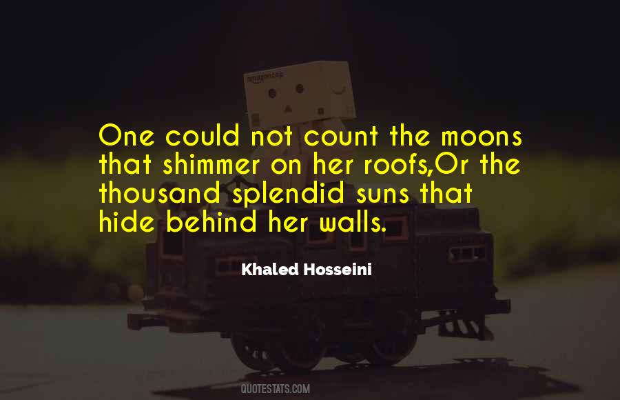 Quotes About Thousand Splendid Suns #580964