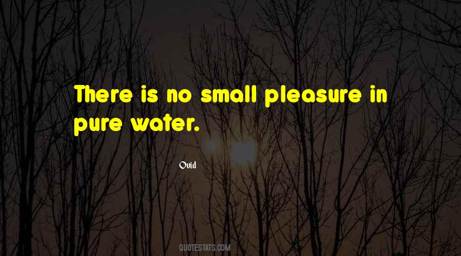 Quotes About Small Pleasures #1848581