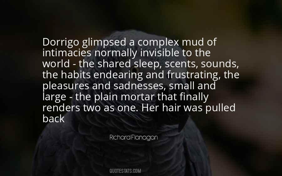 Quotes About Small Pleasures #68454